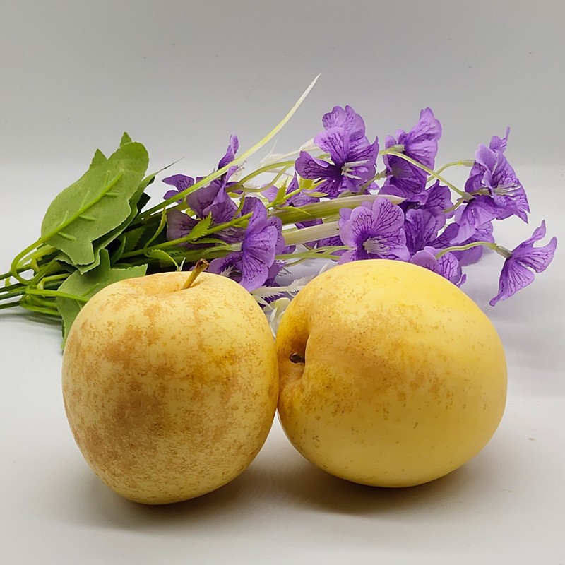 O1CN01f9MINT1nZgJxADC7w_!!2201