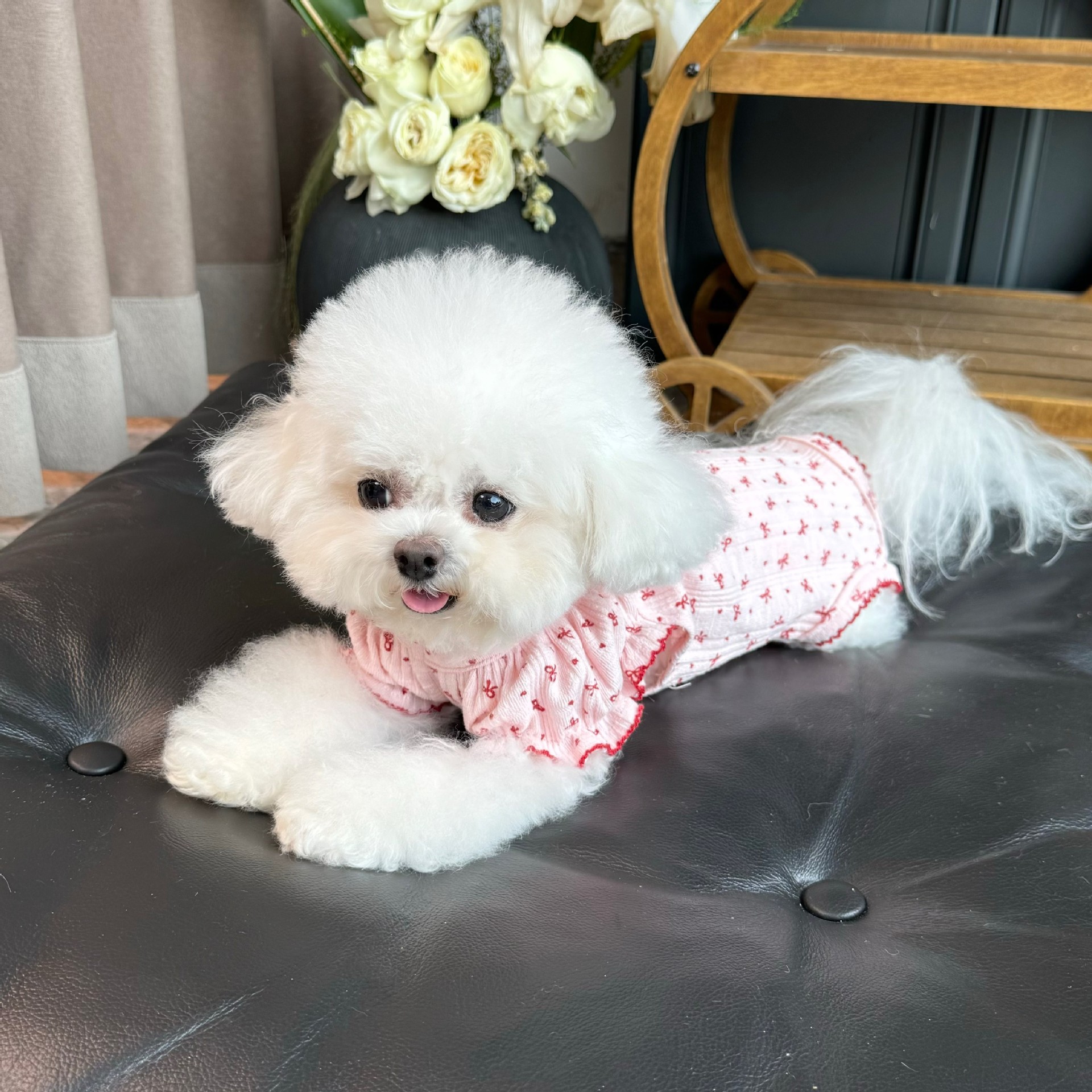 Ropa de mascotas otoño y invierno nuevo chaleco de manga de burbuja elástica todo incluido abrigo de abdomen para perros que osos Teddy ropa para el hogar