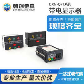 DXN8D-Q带电显示器户内高压带电显示器闭锁型带验电孔核相功能传