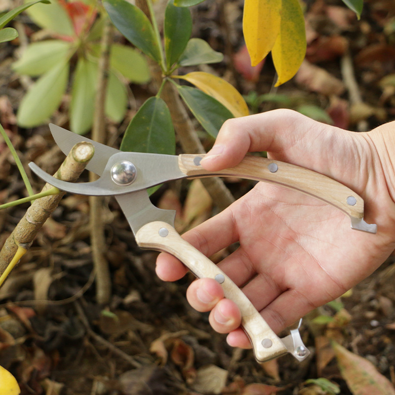 SGarden Pruning Scissors,Fruit Tree Shears,Flower Shears,Tea Tree Shears,Potted Plant Shears,Thick Branches,Labor-saving Tools