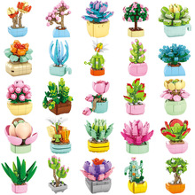 ��ͯ����ƴ�bС�w���������Էeľ�����ģ��ƴ�DŮ�����}�Q���Y��