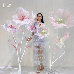 ������������z���z�W�����滨�����b[�������������û�Y�ٻ�