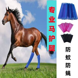 �S�ҬF؛���l�R�o��߅�������R�����R�g��Ʒ�R�o�ȷ����R�o����