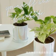 创意七彩电镀陶瓷花盆摆件现代简约室内绿植花器亚马逊水培花盆