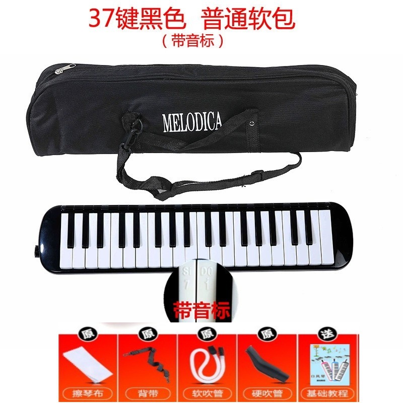 Armónica de 37 agujeros, órgano de boca de 32 teclas para estudiantes y niños, adecuada para presentaciones en el aula de principiantes.