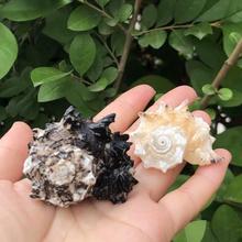 ���R�݈A������Ȼ����ؐ���~���쾰�[���ղؘ˱��ľ�з��Q�����l