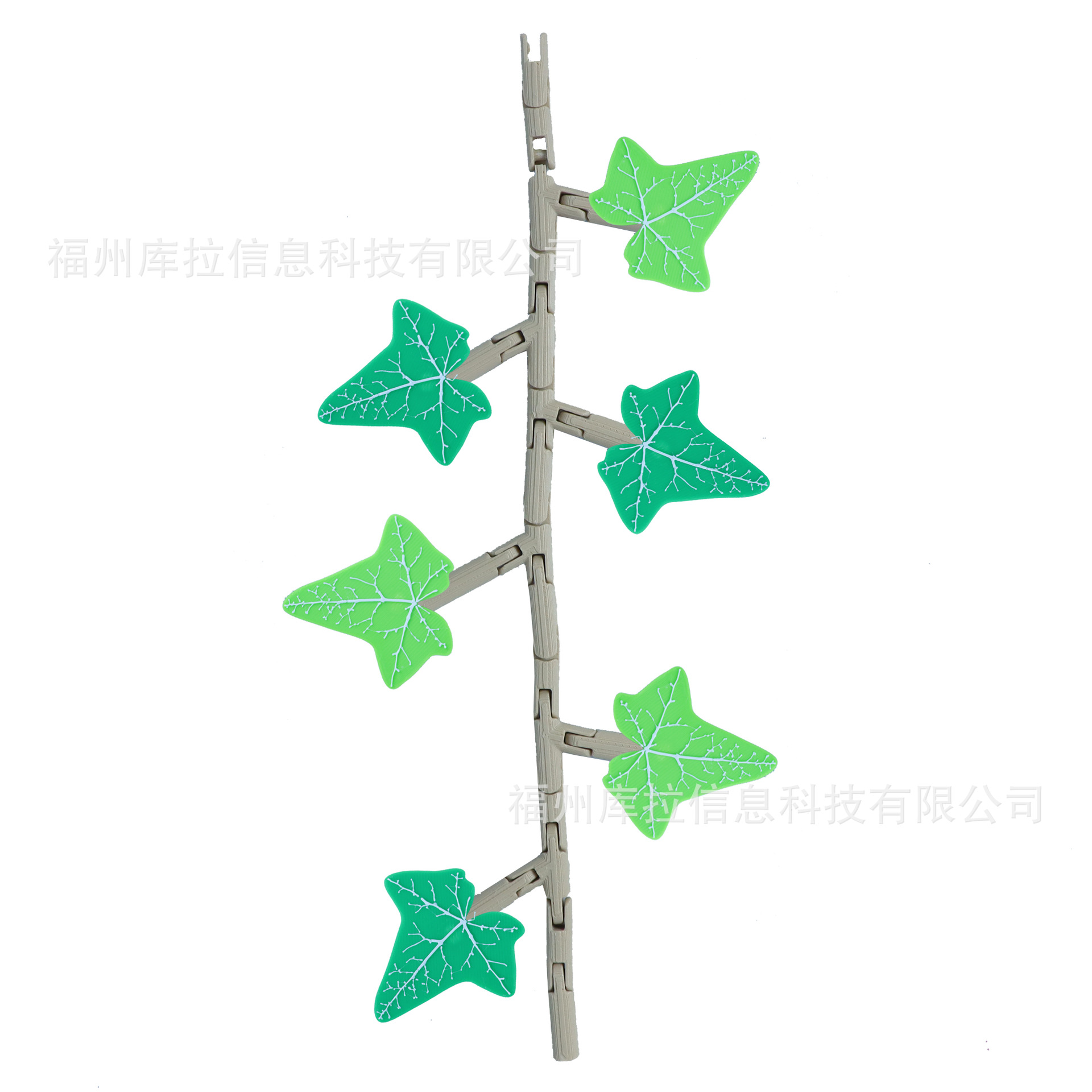 1팩(덩굴 1개 20cm, 잎 6개 포함)