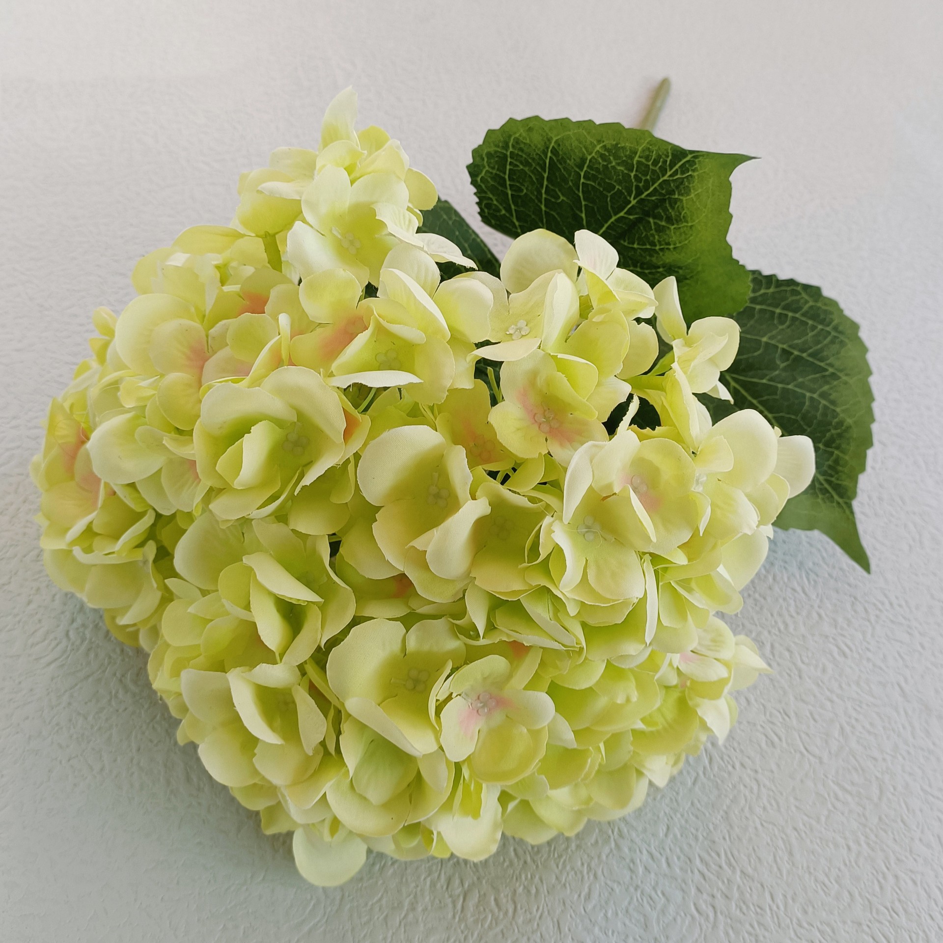 512abd1da9085f2ac1e2e65827a30e