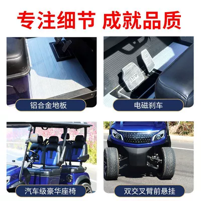 Scenic Tourist Swing Car – Elektrikli qolf avtomobilləri