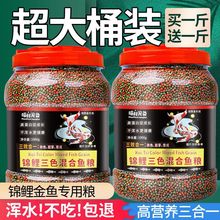 ~\~~ʳСw~Z^p~С~~ϸͨɫ