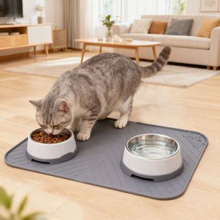 ���z����͉|؈����Ʒ������|�ӷ��������؈��|����ϴιʳ�|