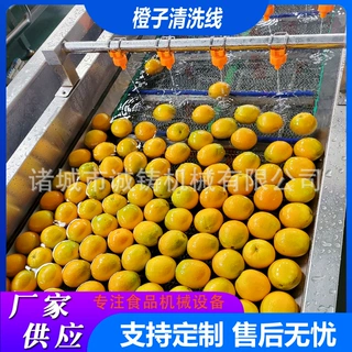 定制全自动伦晚橙清洗流水线商用黄桃清洗设备柑橘气泡毛辊清洗线