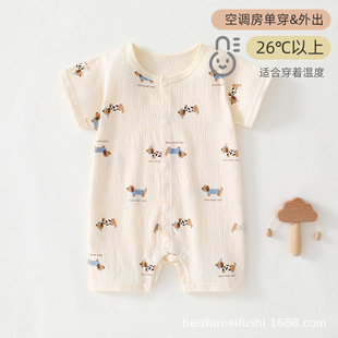 2025�ļ��n����׶����B�w�°�������Ů��������¿��{���������