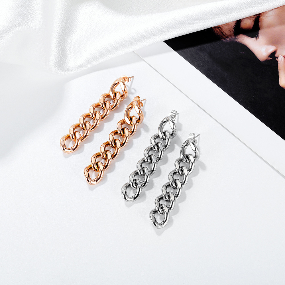 Simple Stainless Steel Chain Earrings Wholesale display picture 6