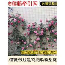 �¼������W�Nޱ�����F�z�W�������پWֲ�ﻨ���F��ɏ���а�֧�ܾW