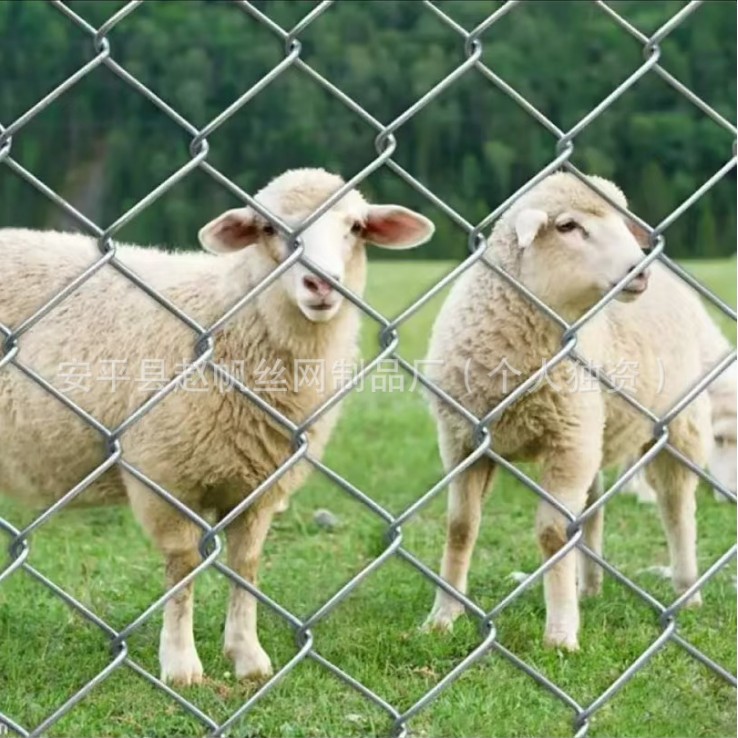 拦鸡网勾花网热镀锌网钢丝网不锈钢铁丝网网格围栏网养殖网防护网