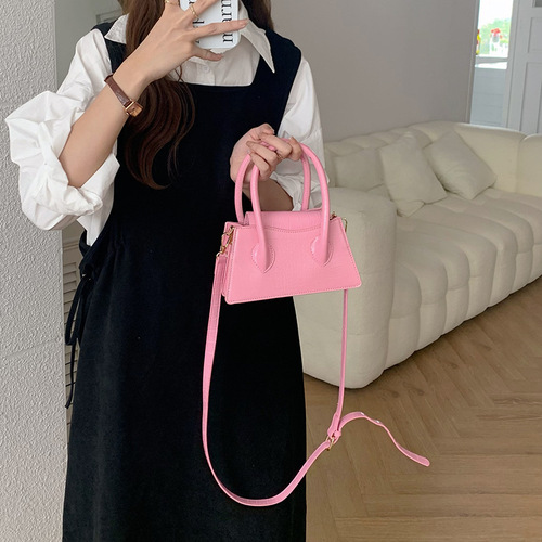 Niche bags for women 2024 new Korean style trendy ins simple fashion versatile portable small square bag single shoulder crossbody bag