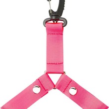 ���R�dPom Pom ��܎����۱��������ꠘ˺���������ꠎ���؂�