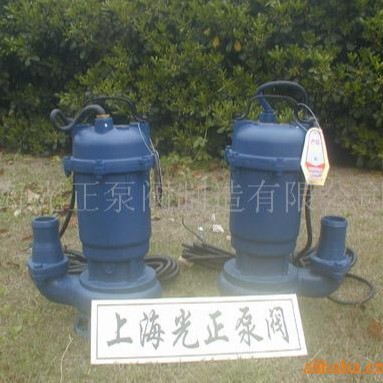 厂家供应光正牌小型潜水泵铸铁污水泵管道离心泵立式电动排污泵