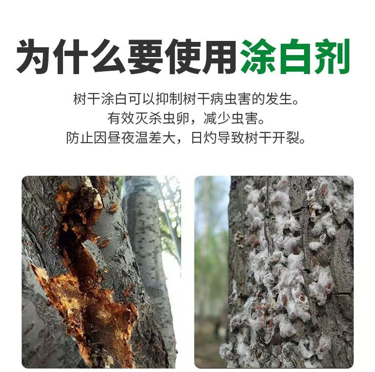 八个老头树木涂白剂防虫防病含石硫合剂防冻果树涂白剂树干涂白剂-阿里巴巴