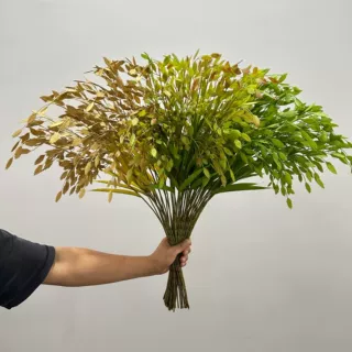 仿真绿植小盼草潘帕斯草微景观造景摆件插花花材家居装饰假植物叶