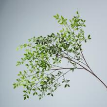 ��������������þGֲ���͆�֧�h֦�����ҾӲ廨�����쾰ֲ��