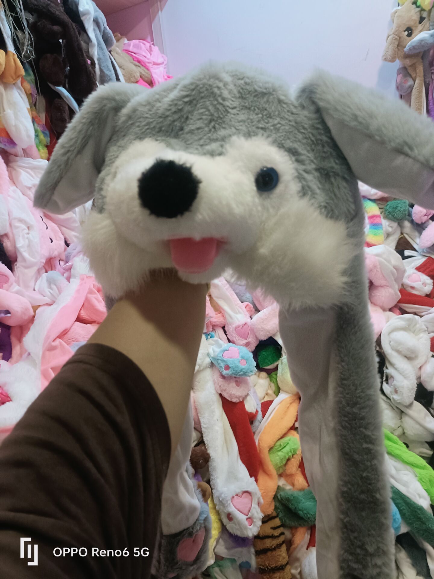 QQ图片20240701202522