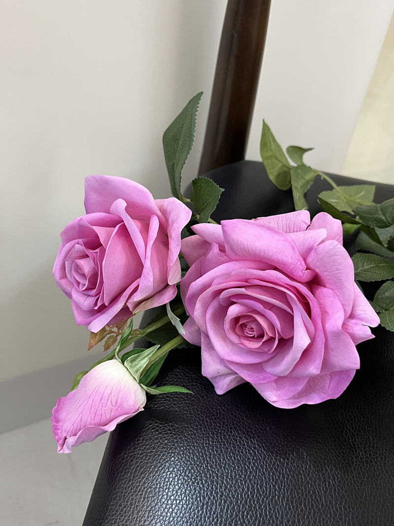 微信图片_20240127155416