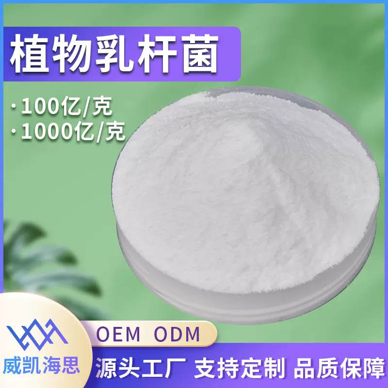厂家供应植物乳杆菌100亿冻干型益生菌原料粉 多种规格乳酸杆菌粉