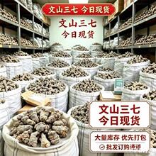 云南文山三七13头15头18头20头30头整个田七头三七批发价代磨粉