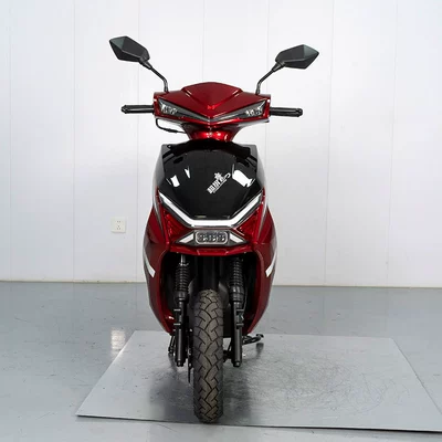 Export of Fuel-Powered Motorcycles, Motosikletlər
