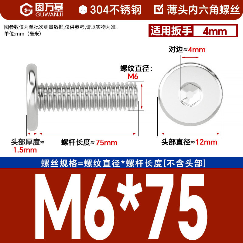 304 M6*75