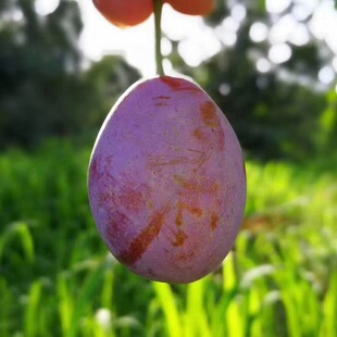 �F؛������÷��� ���r������������ �����ЋDˮ����Sһ�����l