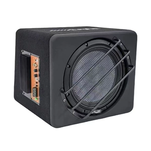 Japan Ev-100Sw3T Woofer 10 düym Aktiv İkili Səs Bobini Subwoofer Yüksək Güc