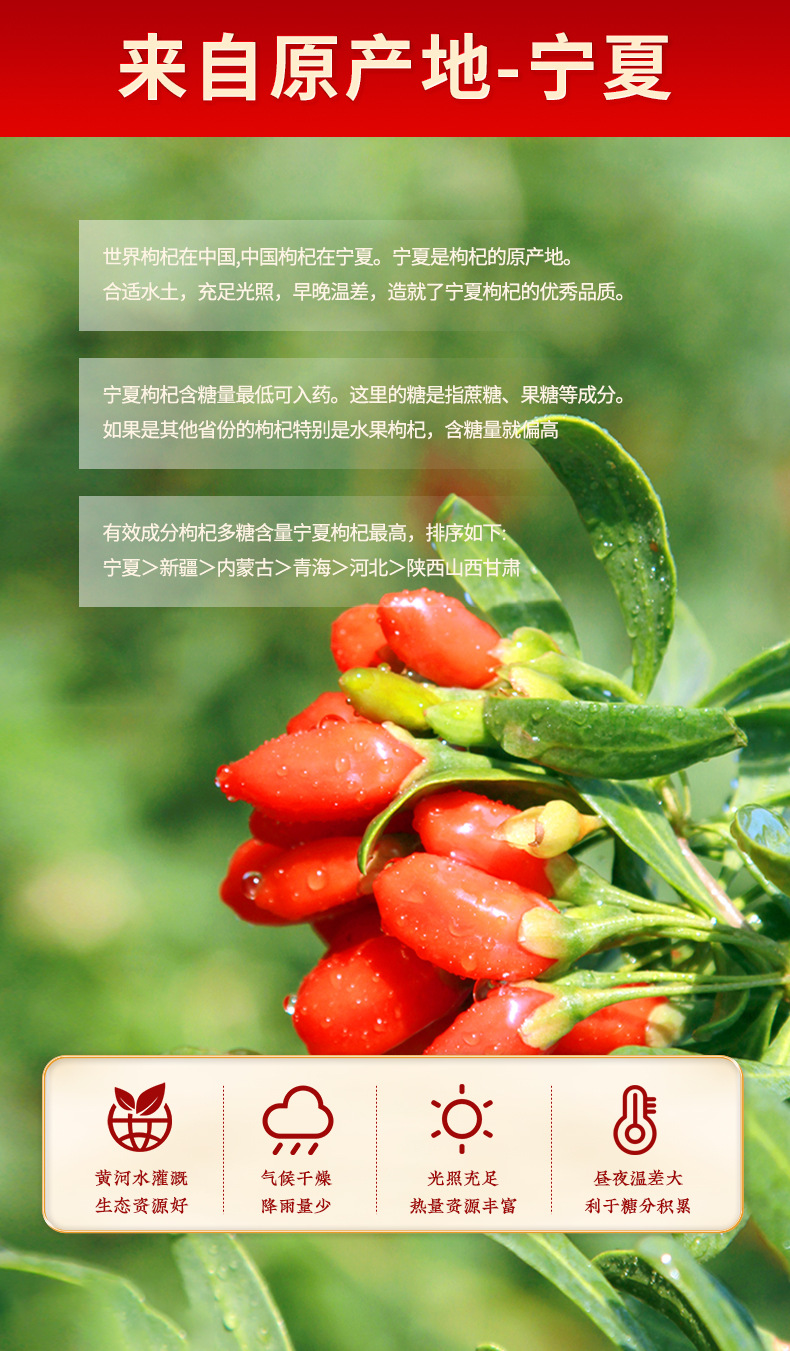 Dried Goji Berries Ningxia Red and Black Goji Gou Qi Zi 20kg Wholesale Case specifications