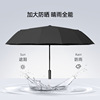 Automatic big umbrella, fully automatic, sun protection, wholesale