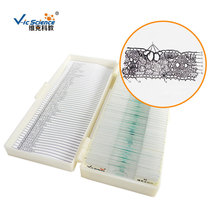 ���Sֱ�Nֲ��ë���~�M���в�ș���Ƙ˱�������Ƭ�̌W��Ƭ