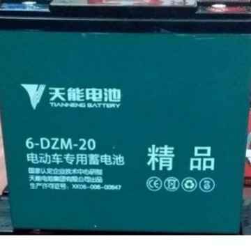 .浙江天能免维护石墨烯电池摆摊逆变器6DZF2012V20AH电动车48V20A