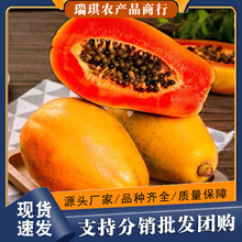 红心木瓜10斤整箱海南冰糖心木瓜新鲜雷州当季热带水果青木瓜批发