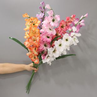 �p���ͮ����m���m����ɏ�ٻ� ��ػ������߼Ҿӻ�c�bzӰ�[��