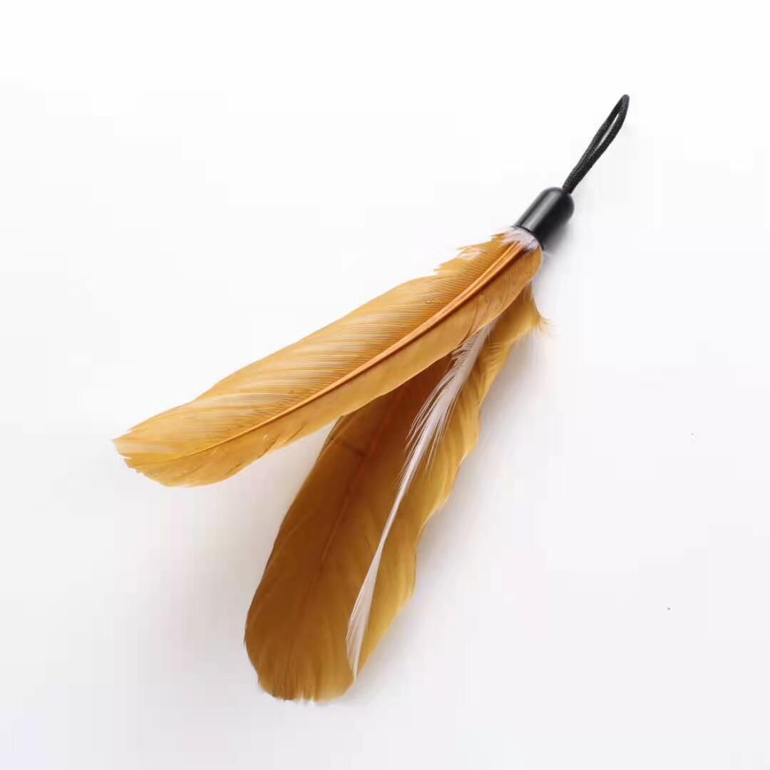 e0a7a16cc5cbf823c398f50d059bdc