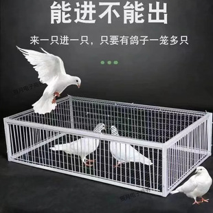 ����\���ӻ\���ӻ�j�Tֻ�M����ײ�T���\�F�\���\�Ԅ��T������׽