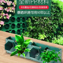 �䳲����ֲ���ֱ�G�����������ڒ����w�҃ȑ���Nֲ�۾Gֲ����