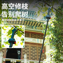 늄Ӽ����늼���֦���ʽ��y�@�ֹ�����֦������늼��Ӹ�֦E18