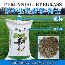 ݲݷNߠXݸٷNo²ݼʿ