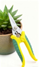 �๦��7��8��늹���@ˇ�������FƤ���P��X�۰���|����