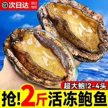 �U�~�r��������r���U���ش��rˮ�a�ӟἴʳС�U�~���ʳ�����l