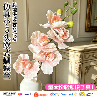 С5�^�Wʽ��������m�ٻ��Ҿ�ܛ�b��c���滨�廨�b������l
