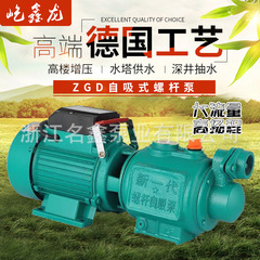 メーカー直送 スクリューセルフプライミングポンプ 全自動 家庭用加圧 単相吸水 タワーレス 220v 水ポンプ 耐腐食