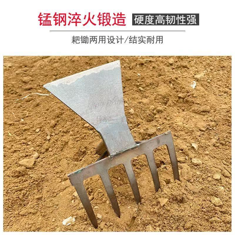 微信图片_20250507095055.jpg